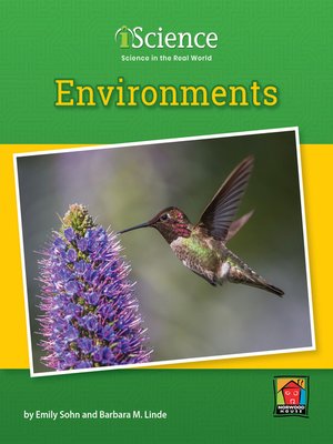 cover image of Environments